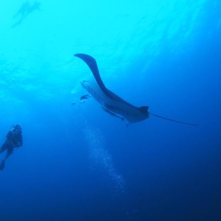 Unwind Dhigurah Hotel ดิห์กูราห์ ภายนอก รูปภาพ