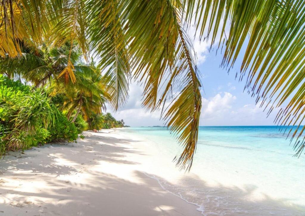 Unwind Dhigurah Hotel ดิห์กูราห์ ภายนอก รูปภาพ