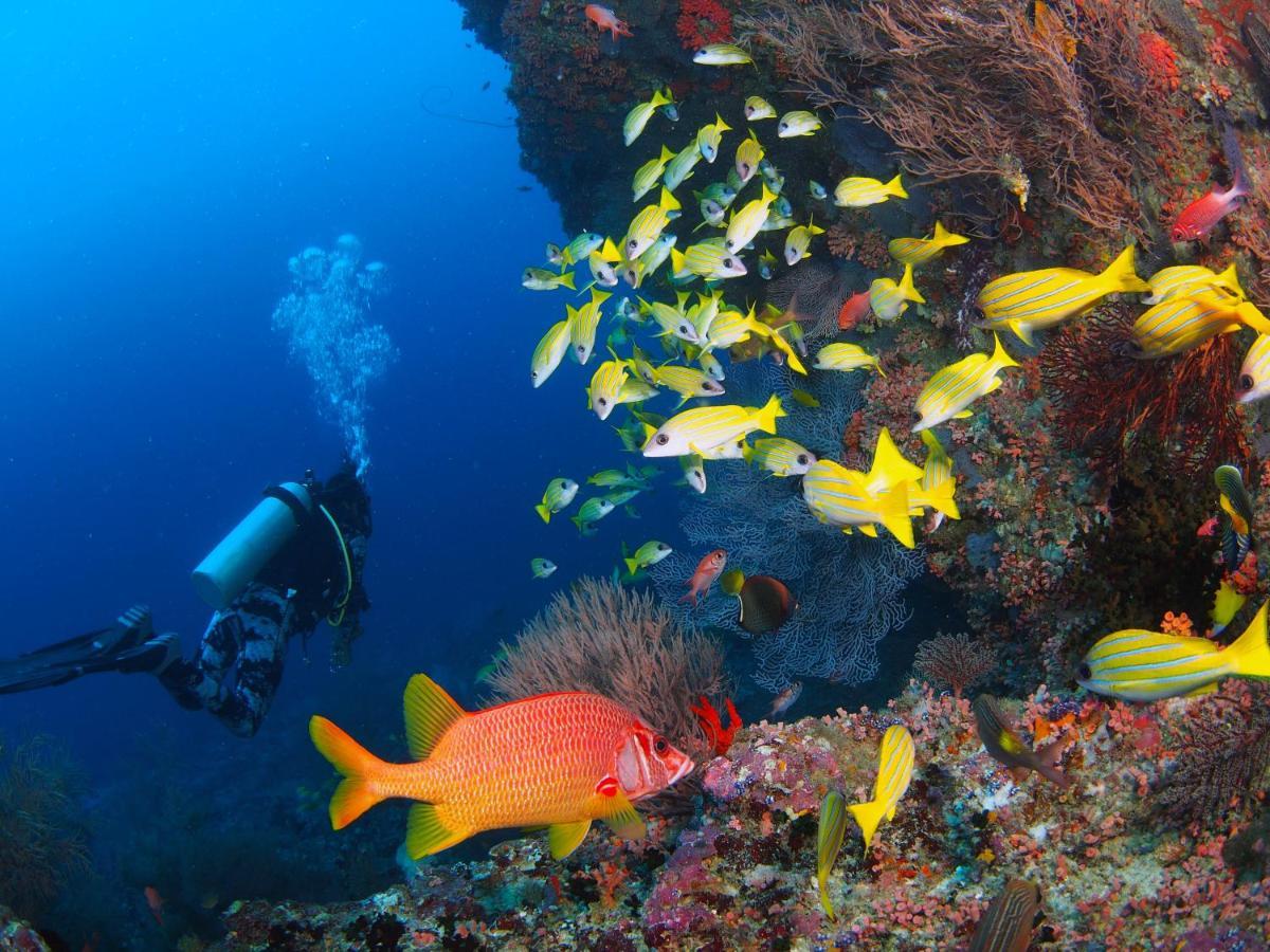 Unwind Dhigurah Hotel ดิห์กูราห์ ภายนอก รูปภาพ